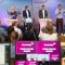 Webcast Eurowings