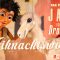 Facebook Video Marketing Jamu und sein Dromedar 02